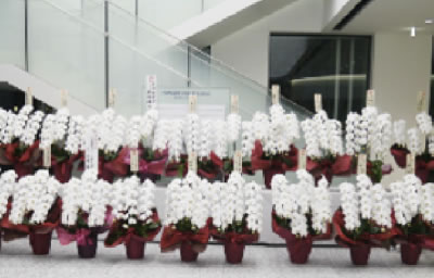 新社屋落成御祝