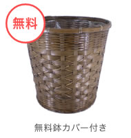無料鉢カバー付き
