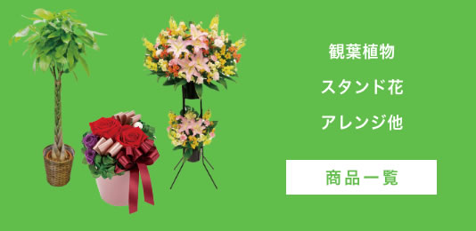 観葉植物・スタンド花・アレンジ他 